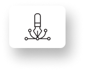 Branding